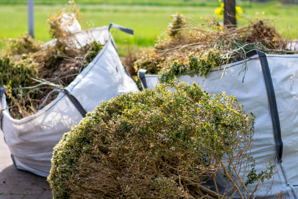 Best Professional Junk Removal  in Lacy Lakeview, TX